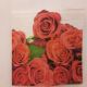 Red Roses