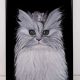 Tablou "Happy Cat"