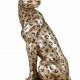 Leopard din polystein 
