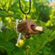 Mounted Lonicera
