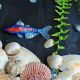 Little fishy around here -brosa textila