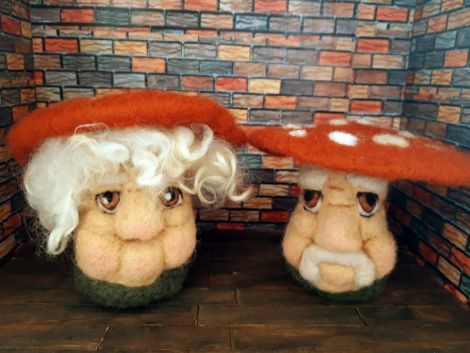 Bunicutii Ciupercuti