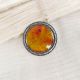 Pandant Colectia Forever autumn cu frunze naturale