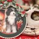 Ornament pentru Craciun