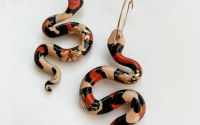 Mini Milk Snake Earrings on hoops