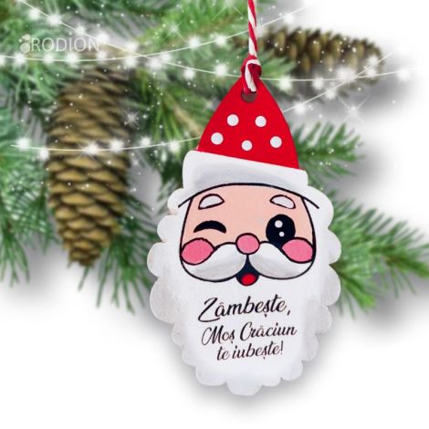 Ornament de pom Mos Craciun personalizat cu mesaj