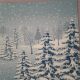 Winter Landscape