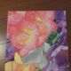 Freesia