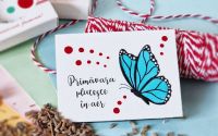 Martisor fluturas cu magnet cu mesaj handmade