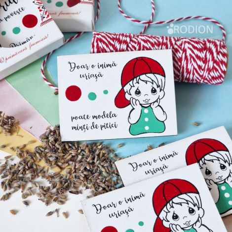 Martisor educatoare cu magnet cu mesaj handmade
