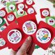 Martisor brosa cu mesaj pictat manual