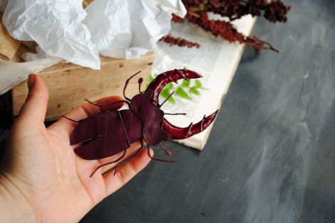 Brosa radasca burgundy