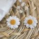 Cercei Yellow Daisy