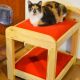 PATUT DUBLU animale de companie HANDMADE CAINI PIS