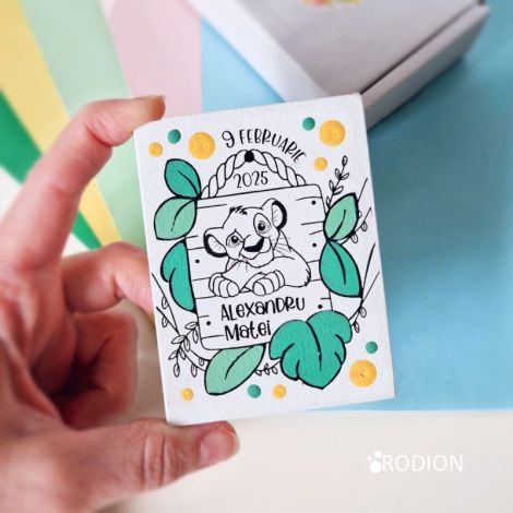 Marturii Simba haioase cu magnet botez pictate