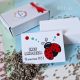 Marturii haioase cu magnet botez pictate buburuza