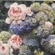 Hydrangea and Roses