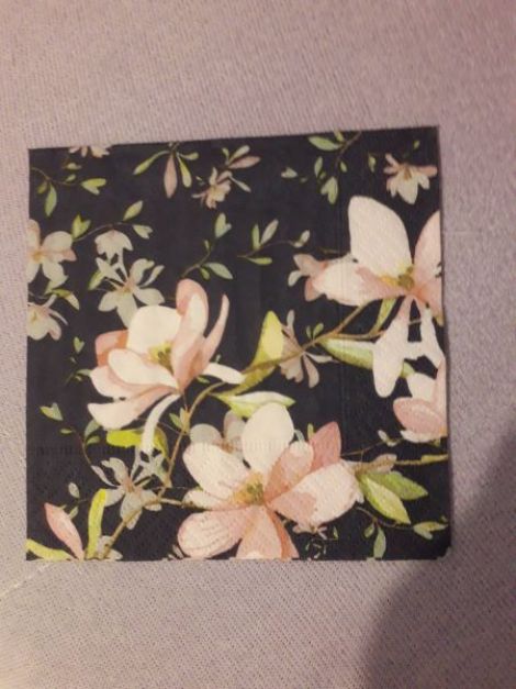 Peach Magnolias