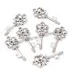 Pandantiv cheie argintiu antichizat 33x14x2mm