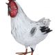 Cocos decorativ din metal 