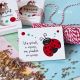 Martisor buburuza cu mangent pictat manual