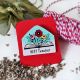 Martisor brosa educatoare carte pictat manual