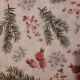 Winter plants