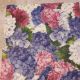 Multicolored Hydrangea