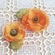 set brose flori galben aramii 