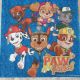 Paw Patrol on Blue