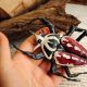 Gandac Mecynorrhina ugandensis