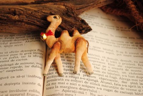 Brosa statement Camels in the desert not dessert!
