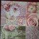 Pink Roses