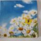 Daisies on Blue