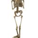 Contemplarea mortii- statueta din bronz 