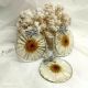 Set Bijuterii  Hateya  cu flori de Margarete n