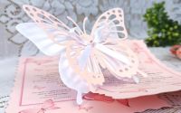 Invitatii botez fluturi roz papirus fetite