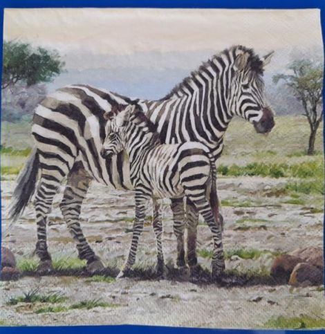 Servetel zebre