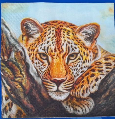 Servetel leopard animale