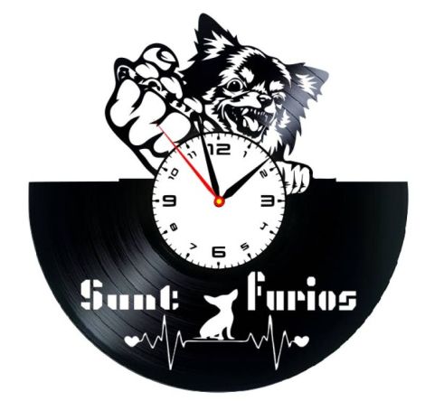 CHIHUAHUA FURIOS- ceas de perete