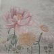 Peony and Daisies