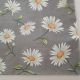 Daisies on Gray