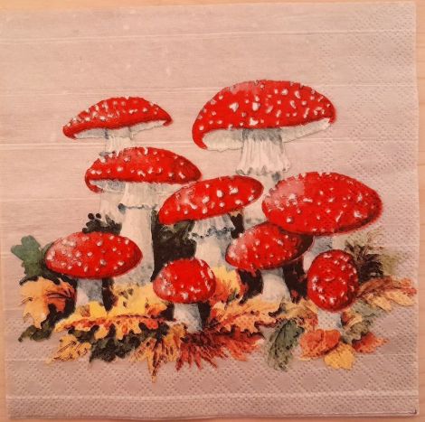 Servetel bucatarie ciuperci