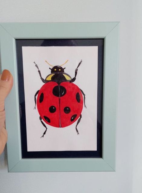 Ilustratii Bugs