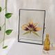 Tablou cu floare naturala presata