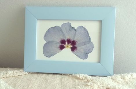 Tablou cu floare naturala presata