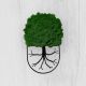 Wired tree 
