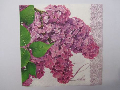 SFERT DE SERVETEL liliac mov