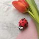 Martisor Buburuza
