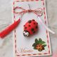Martisor Buburuza